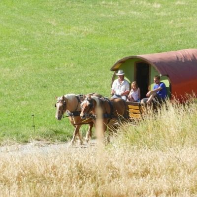 Drôme roulottes vacances, partenaire de Chez mon Jules