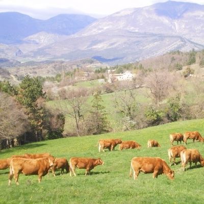 La ferme Spittel Mathon, partenaire de Chez mon Jules