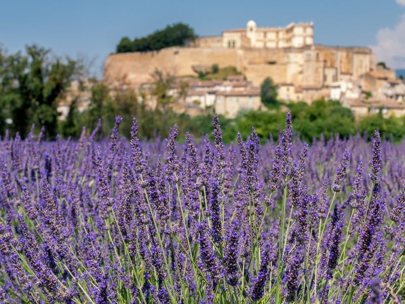 Se promener en Drôme provençale